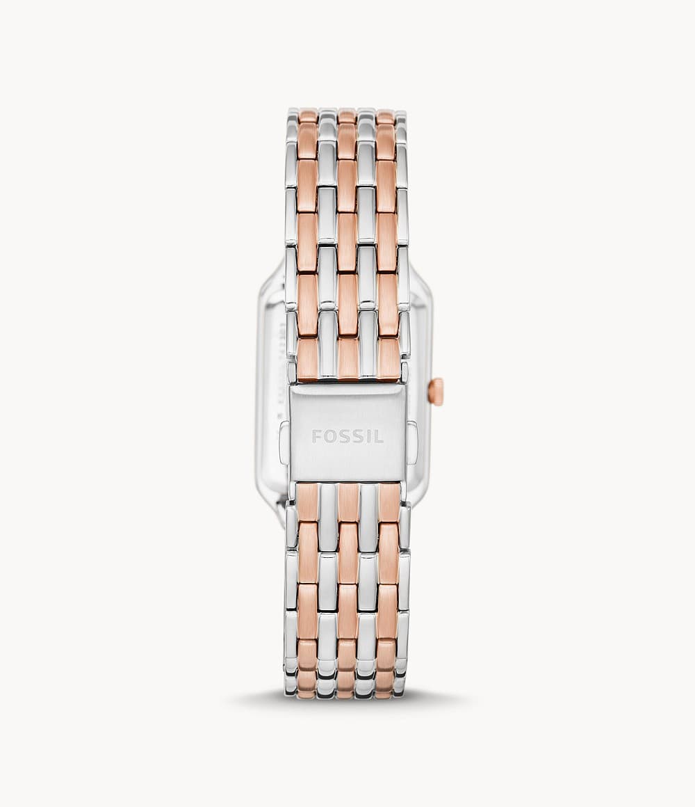 FOSSILES5222 - Image 3